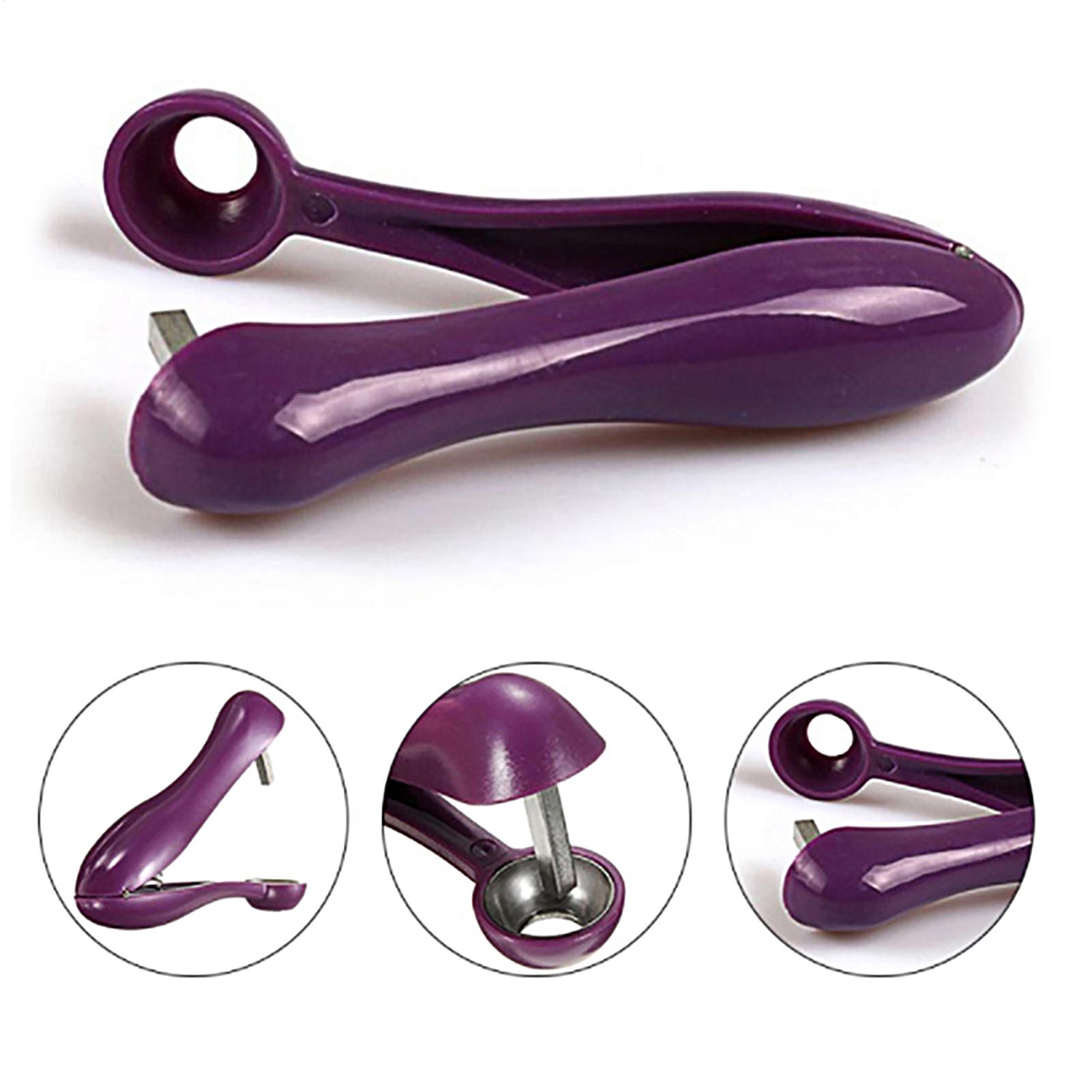 Draagbare kersenontpitter, oli - Cherry Pitter Tool recensie en prijs