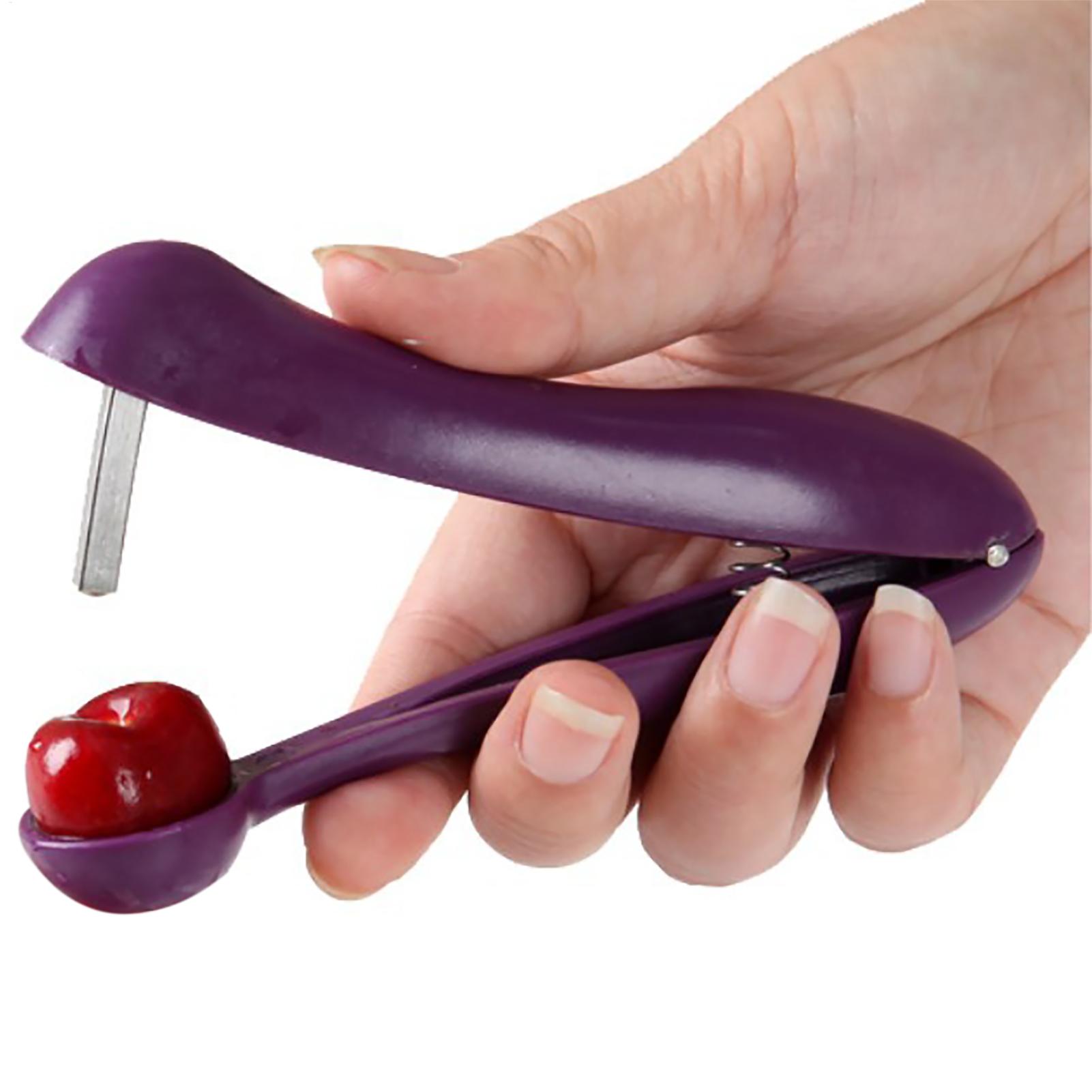 Draagbare kersenontpitter, oli - Cherry Pitter Tool recensie en prijs