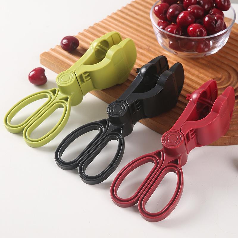 Ergonomische handgreep Kersenp - Cherry Pitter Tool recensie en prijs