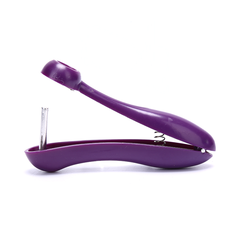 Handmatige kersen- en olijfpit - Cherry Pitter Tool recensie en prijs