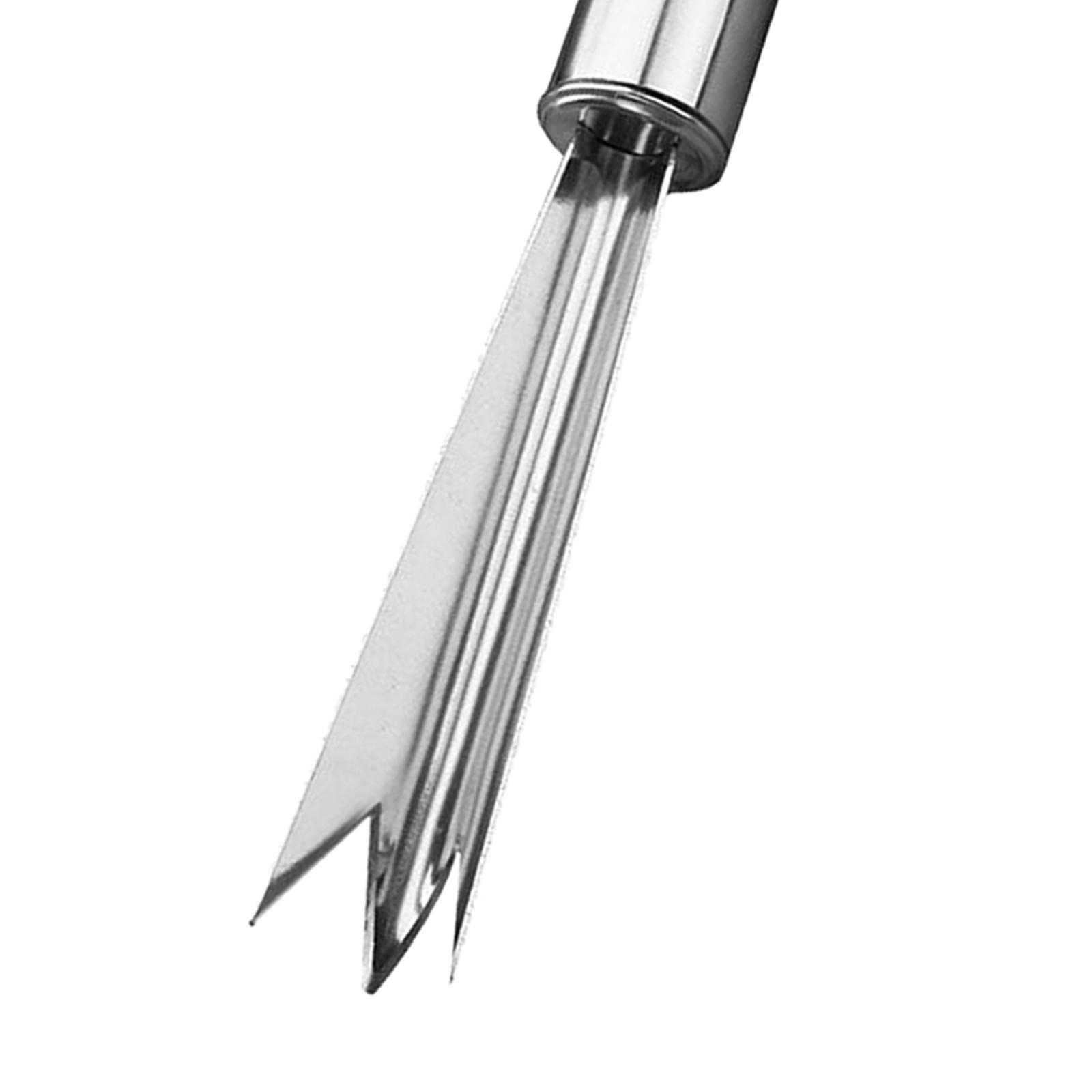 Ananas- en vruchtschiller Prak - Kitchen Gadgets Store recensie en prijs