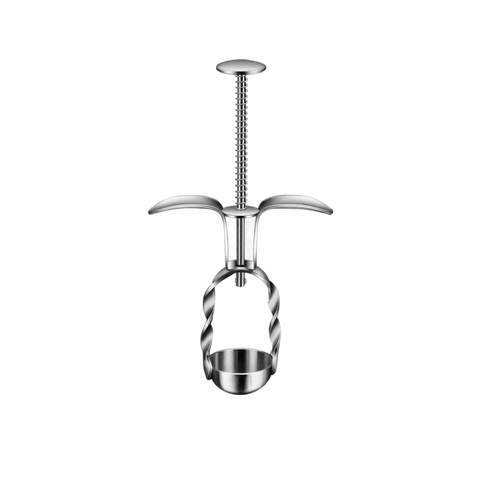 Roestvrijstalen rode dadelontp - Cherry Pitter Tool recensie en prijs