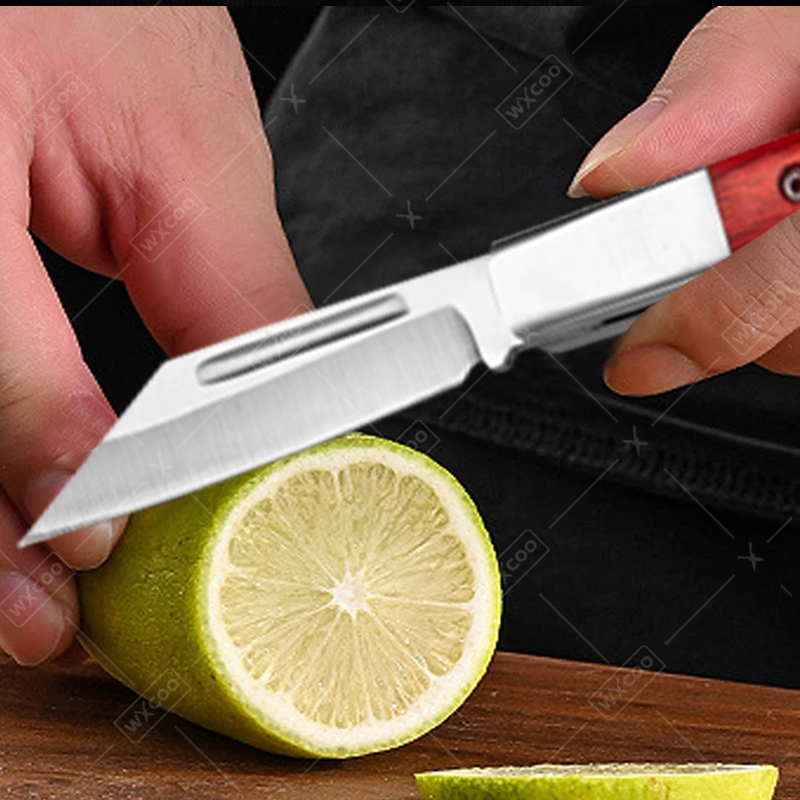 Roestvrijstalen zakmes Palissa - Kitchen Gadgets You Need recensie en prijs